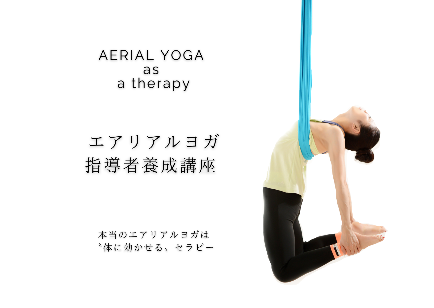 指導者養成講座 Aerial Yoga Studio Y Aero エアリアルヨガスタジオ ワイプラスエアロ